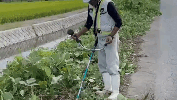 県道703号線除草工事をしました