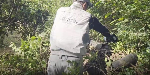 ツタ取りの作業を行いました