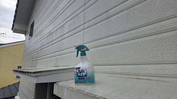 壁面かび取りしました