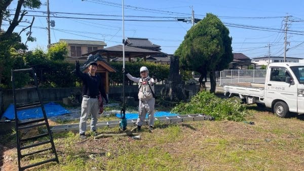 広川N様邸の背の高い木の伐採